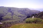 PICTURES/California Coastline, Fort Ross and a Little Wine/t_Coastline20.jpg